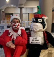 Cat on the Shelf with a Visitor Elf