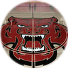 USD 358